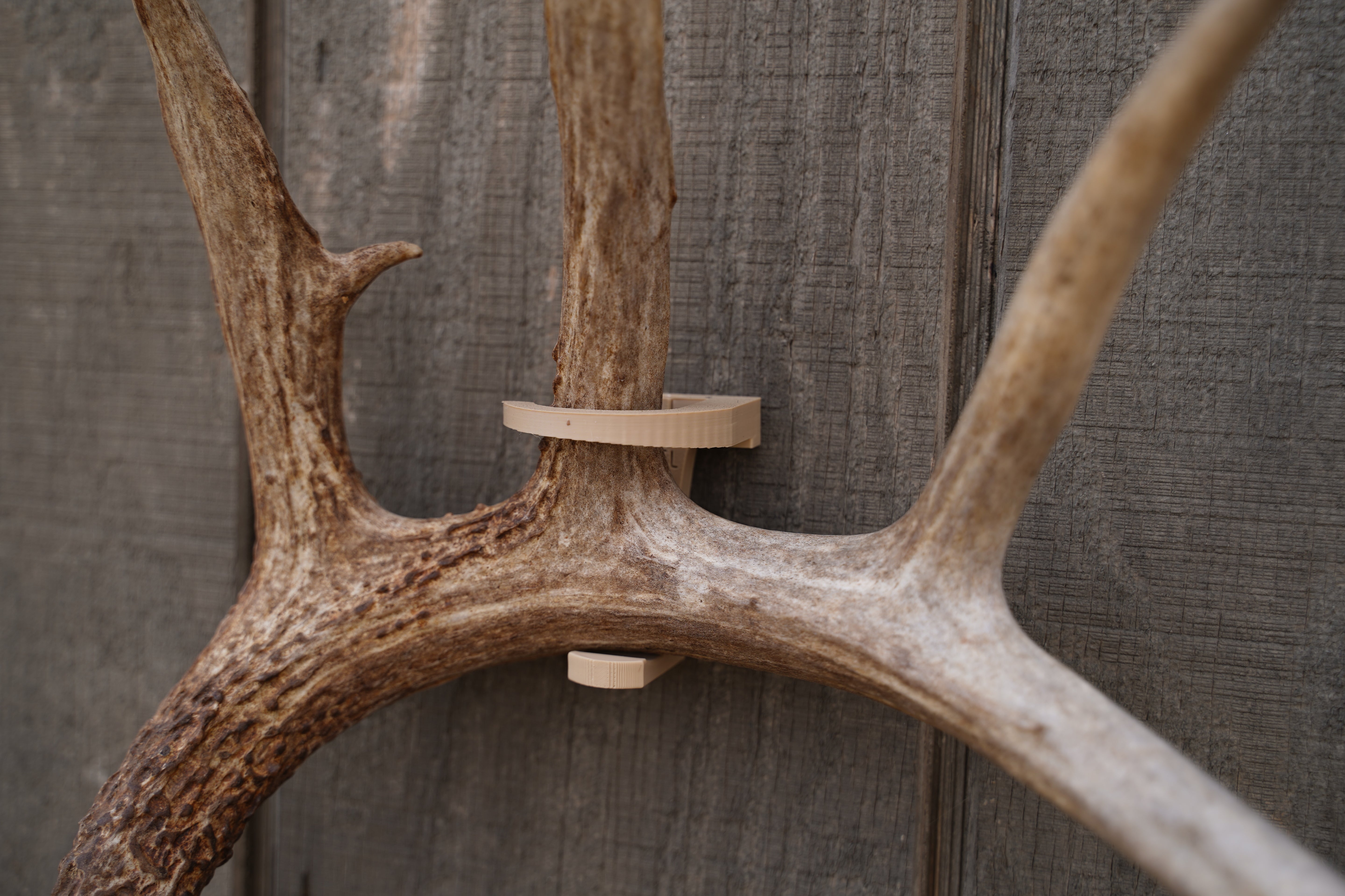 RSM Shed Mount