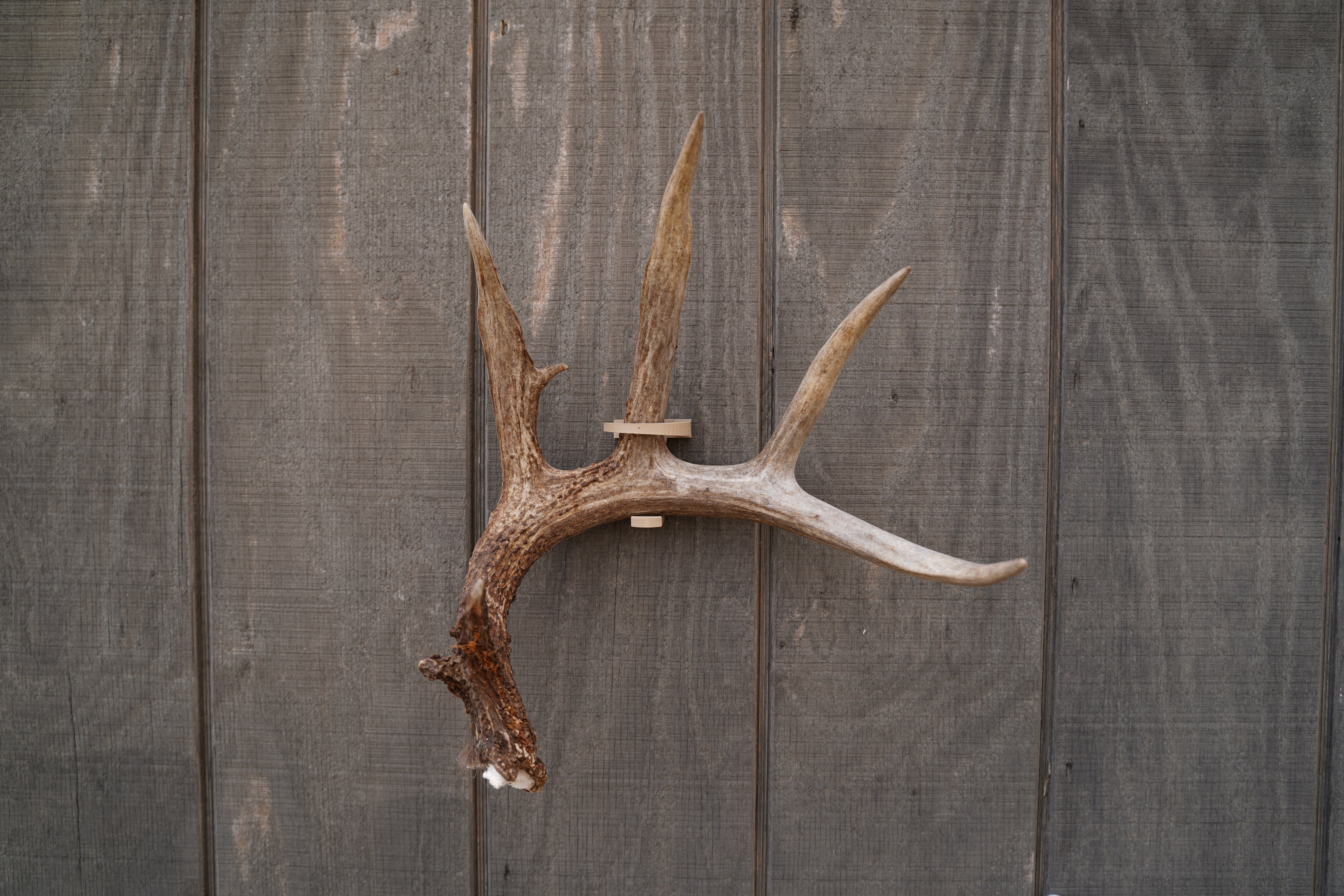 RSM Shed Mount