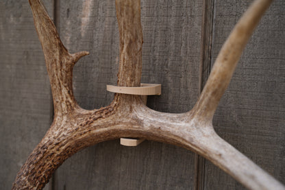 RSM Shed Mount