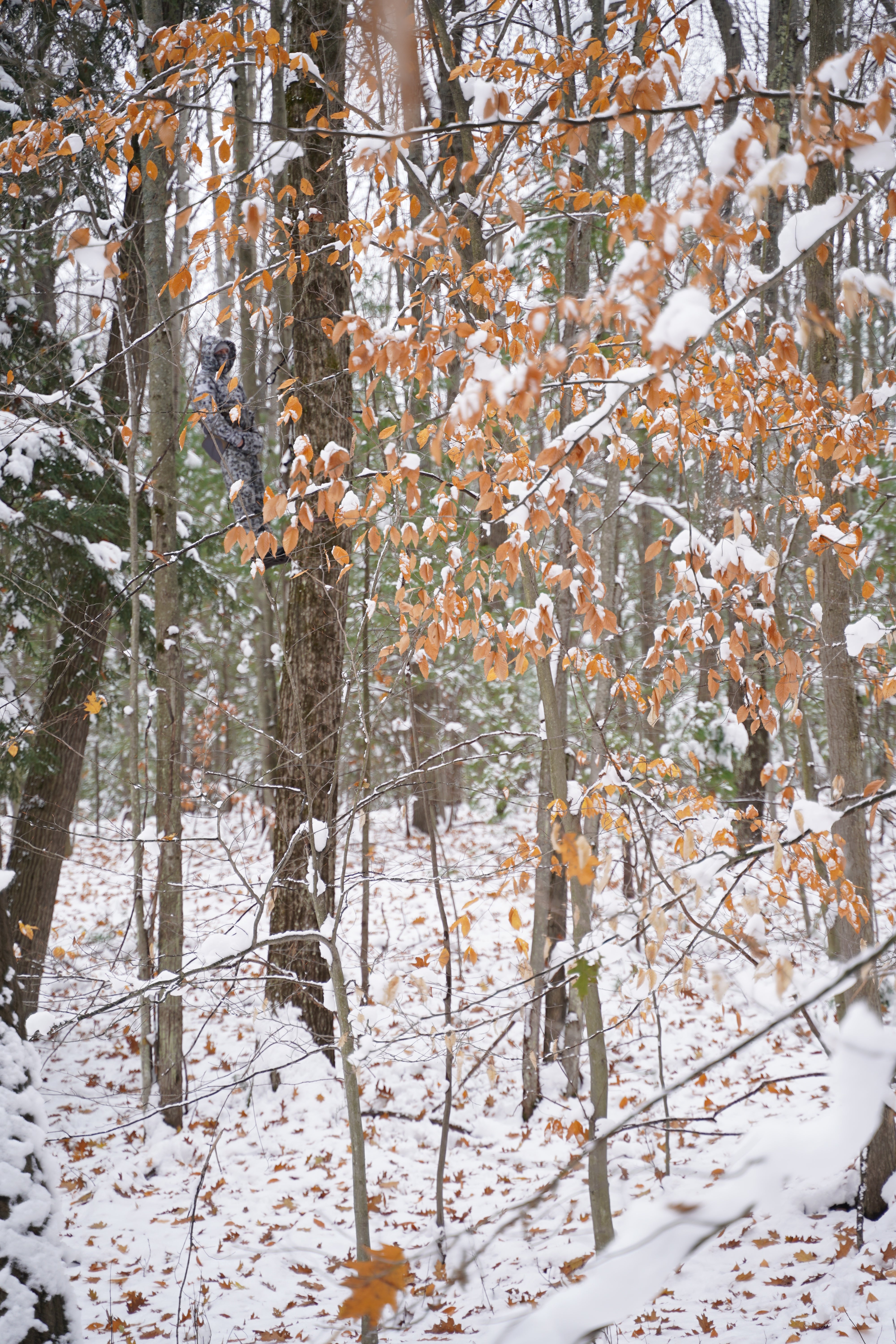 DH Microfleece Softshell Hoodie